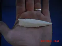 CIMG1995.webp