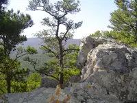 Over Snake Mountain 001.webp