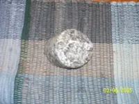 100_1843.webp