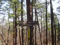 Over Snake Mountain 006.webp