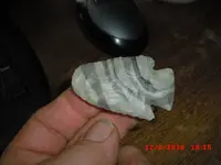 CIMG2475.webp