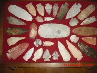 CIMG2417.webp