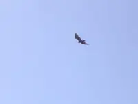 Over Snake Mountain 009.webp
