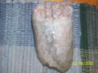 100_1844.webp