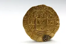 piratecoin.webp