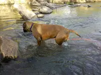IMG_20110416_183828.webp