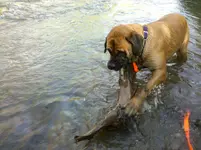 IMG_20110416_184209.webp