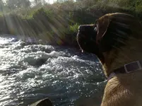 IMG_20110416_184533.webp