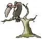 Unknown.webp