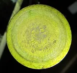 Gold gilt button etch overall.webp