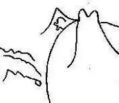VB Map Excerpt 1.webp