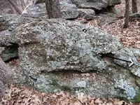 DSCF3950_(640x480)[1].webp
