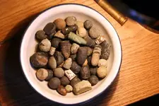 nc finds 03-02 001.webp
