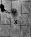 test_area_2crop.webp