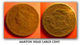 marton-head.webp