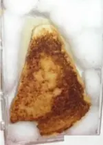 Virgin Mary on Cheese Toast.webp