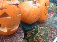 DSCF2577.webp
