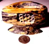 artifact1.webp