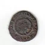 ne 5.webp
