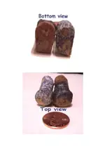 boots2.webp boots2.webp