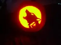 coyote.webp