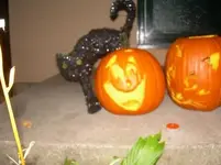 Mariahs Pumpkin.webp