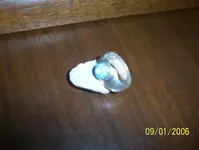 100_0640.webp