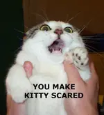 scaredkitty.webp