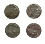 My Buffalo Nickels.webp