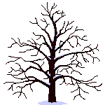 AnimatedTree.gif