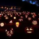 pumpkin1.webp