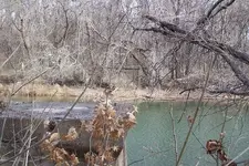 swinging bridge.webp