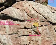 big nose #1 (Medium).webp