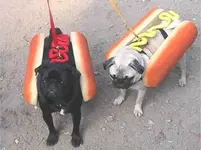 2hotdogs.webp