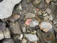2-23-11 1.webp