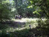 Columbia swimming hole.webp