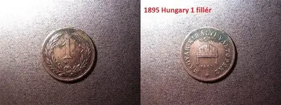 1895 (Small).webp
