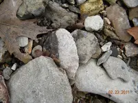 2-23-11 7.webp