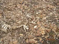 2-23-11 10.webp
