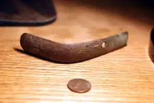 nc finds 03-03 002.webp