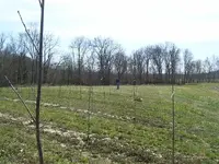3 12 2011 Me Cody Danielle 001.webp