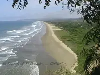 opjkpo 008.webp
