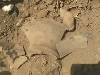 opjkpo 045.webp