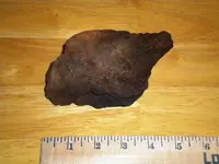 meteorite 006.webp