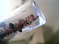 2011-03-29-82684.webp