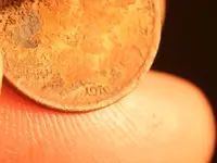 nc finds 02-23 018.webp