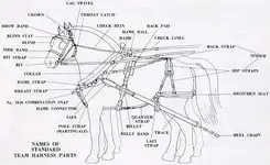 1.webp