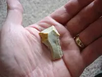 flint_a.webp