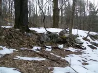 MARCH 12TH HUNT WITH SNIFFY 001 [].webp