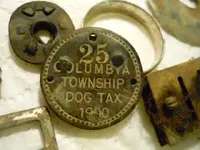 3-20 dog tag.webp